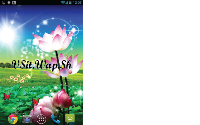 Lotus Live Wallpaper for Android - Hình nền hoa sen sống động trên Android Ảnh từ Lotus Live Wallpaper for Android - Hình nền hoa sen sống động trên Android